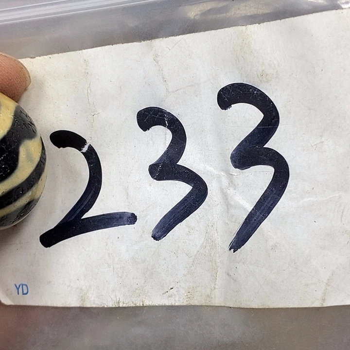 风***景吊坠龙脊菩提德宝文玩专属链接