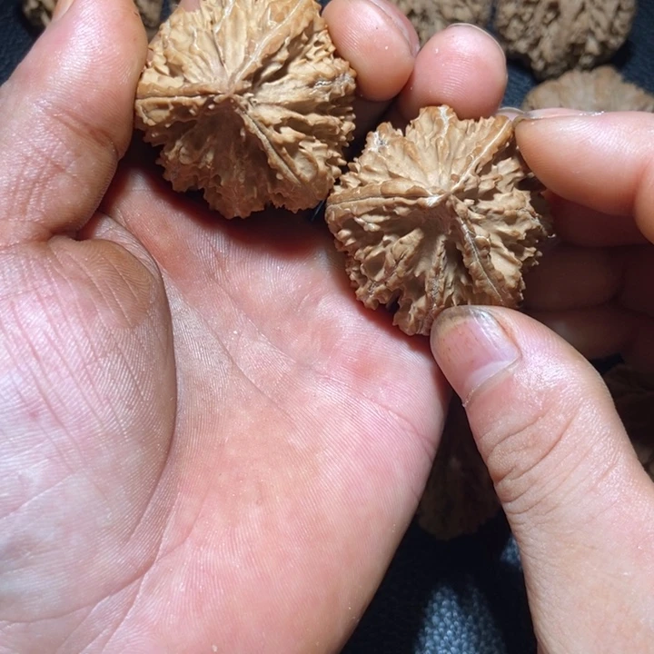 1***0文玩核桃把件秦岭野生文玩核桃