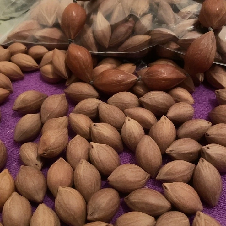 手串/手链橄榄核余**人