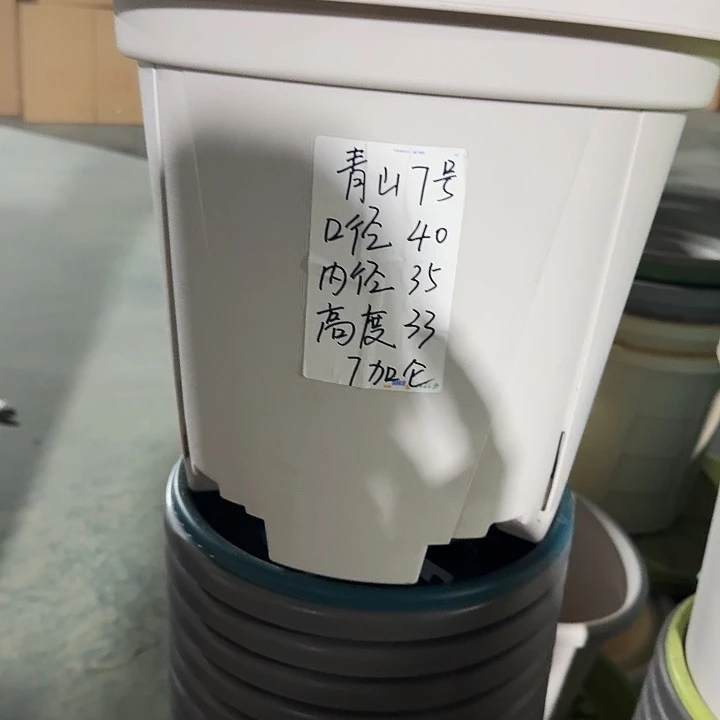 老青山7号灰白无托5个