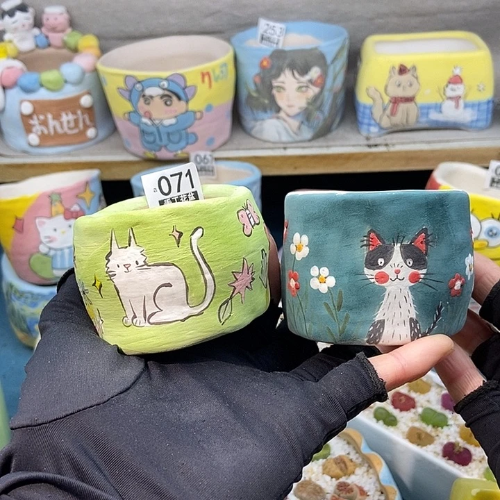 金****3大舅生石花肉锥多肉071