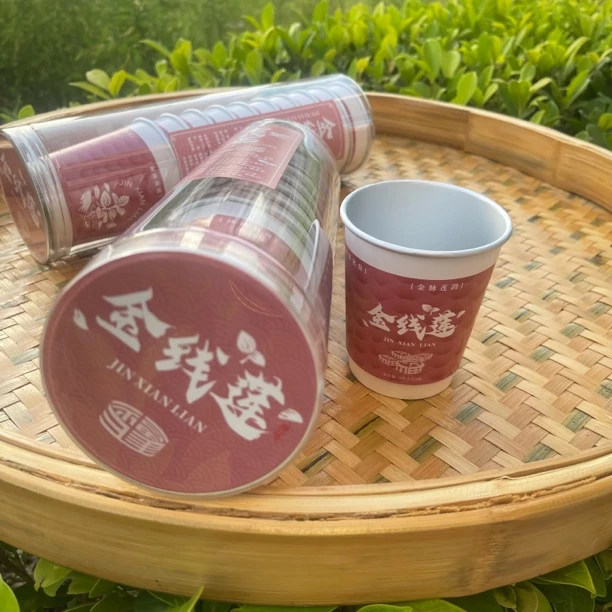 金线莲随手杯 20杯/提 茶办公室接待居家接待方便 送礼