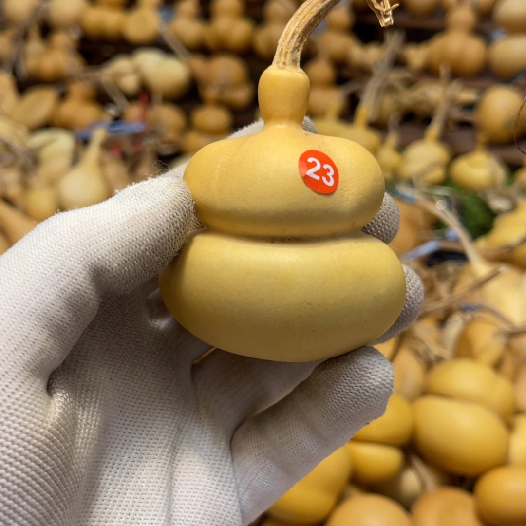 闪拍葫芦链接-23号品