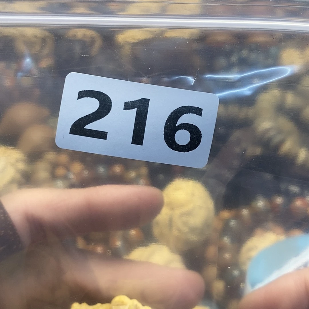 吊坠橄榄核竹**雨