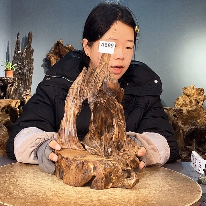 茶盏佐*699株木的随行的根艺