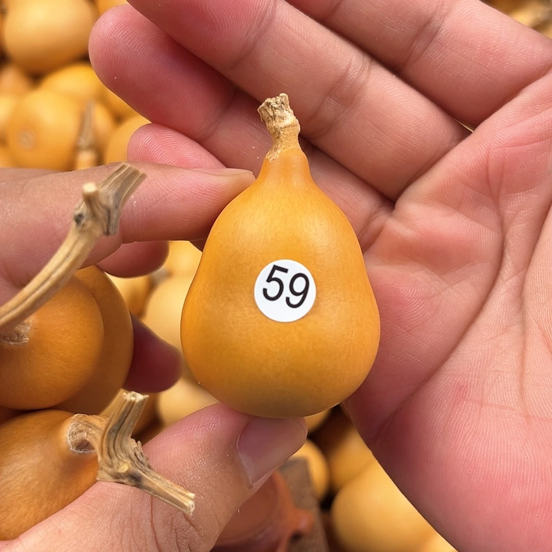三葫芦葫芦葫芦葫芦 59