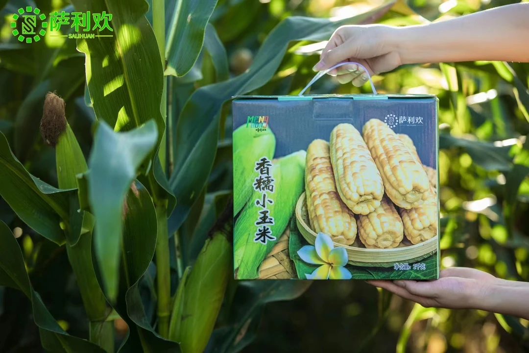 西双版纳花糯小玉米4斤装