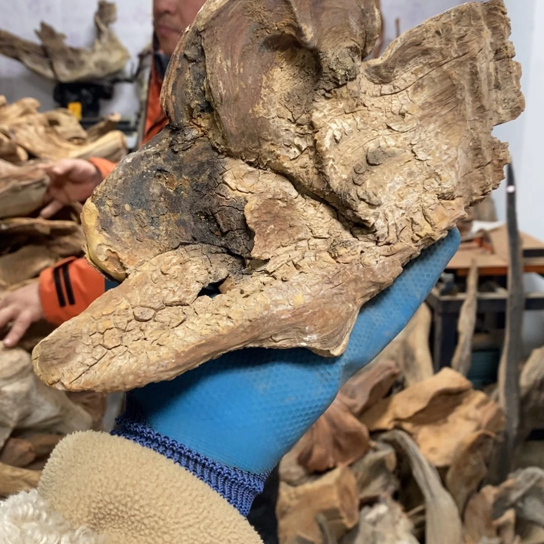 柏木仟*我们都是好孩子