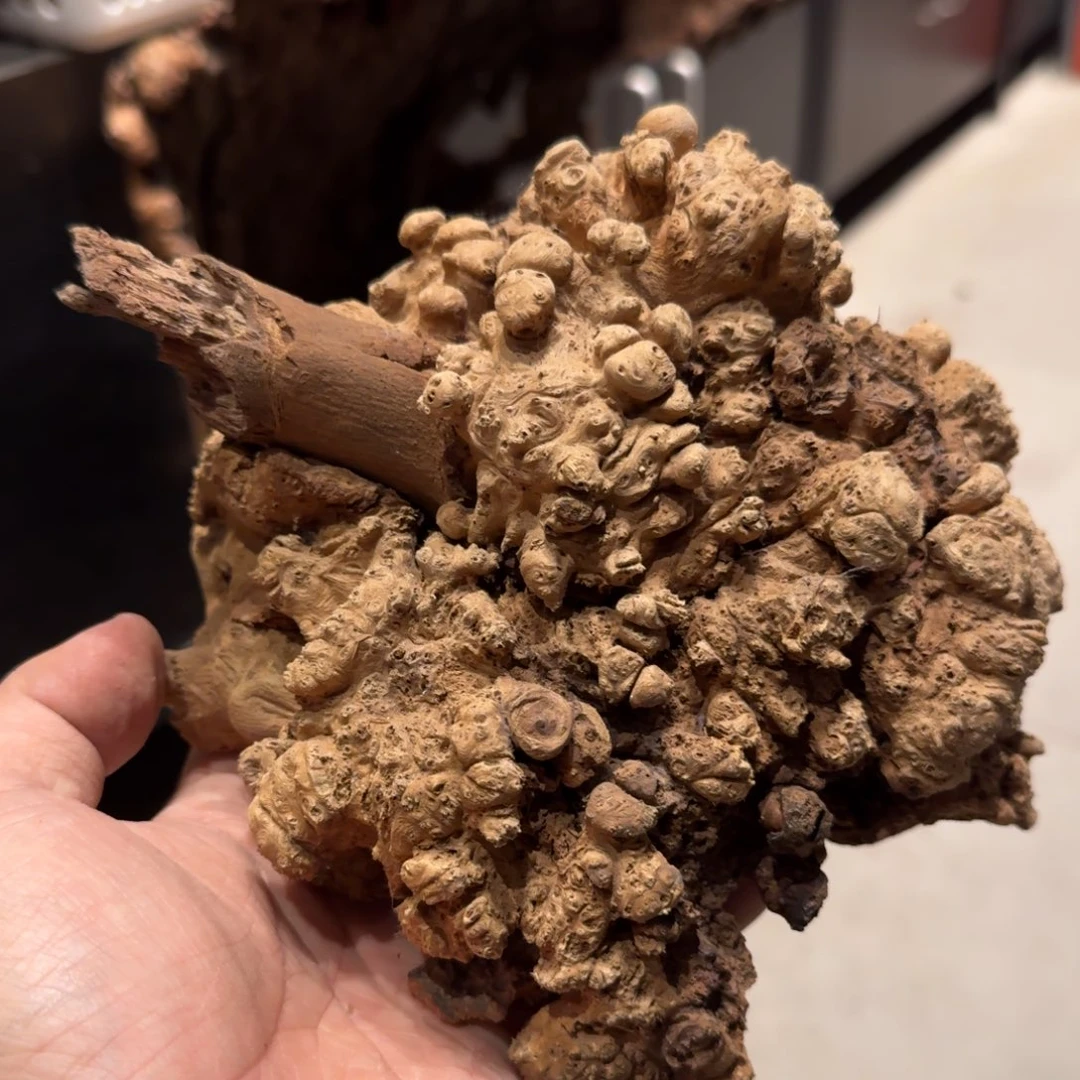 荔枝木特价原材料，不退换