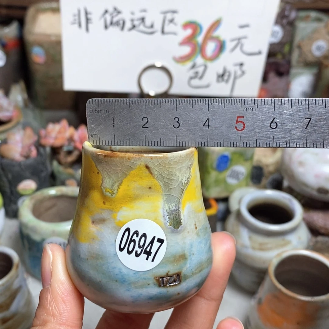 花盆拍5送一个小礼物