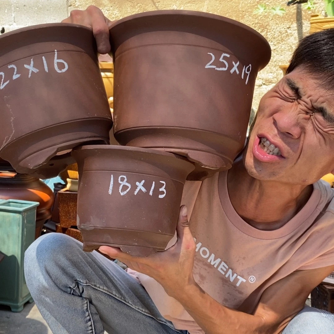 紫砂花盆紫砂紫砂紫砂紫砂