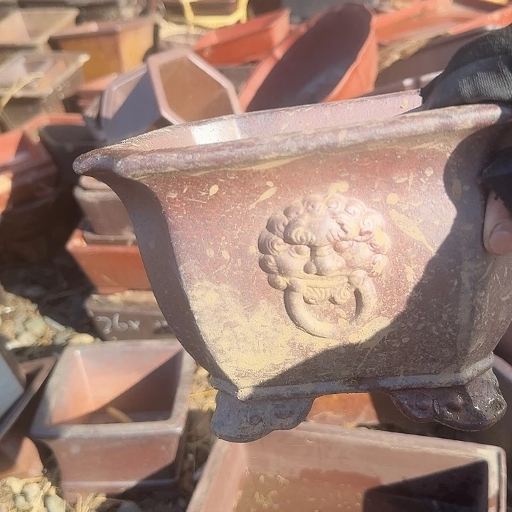 紫砂和花都两条都没有卖