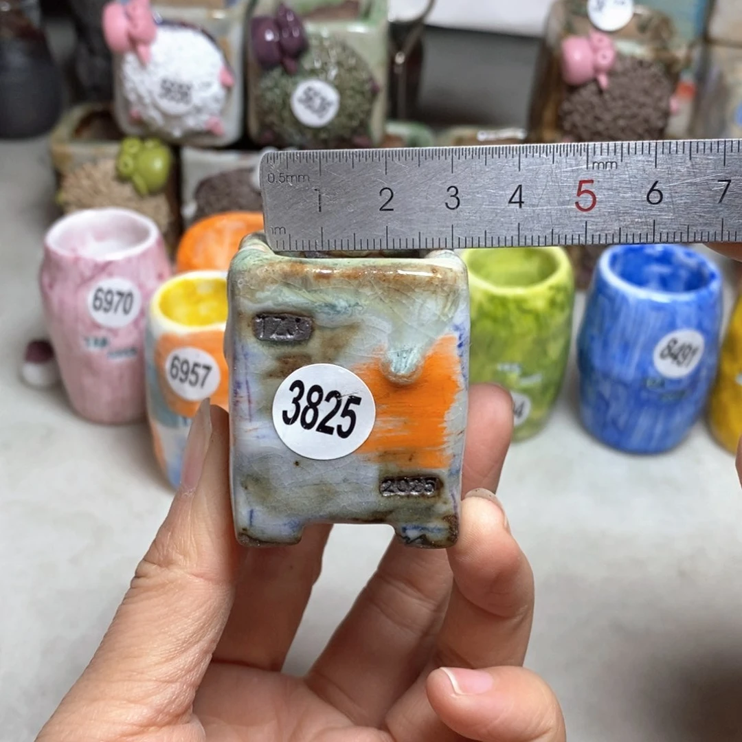 拍3送一个小礼物