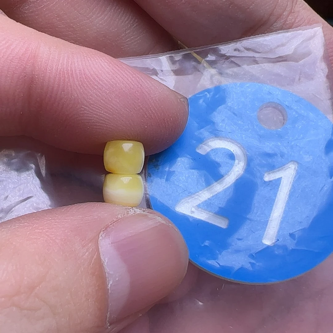 蜜蜡未镶嵌珠宝奇石6.3mm