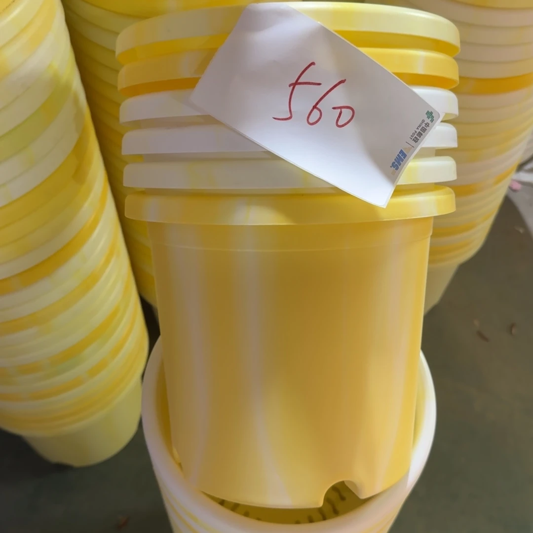 编号560-10个口径25串色