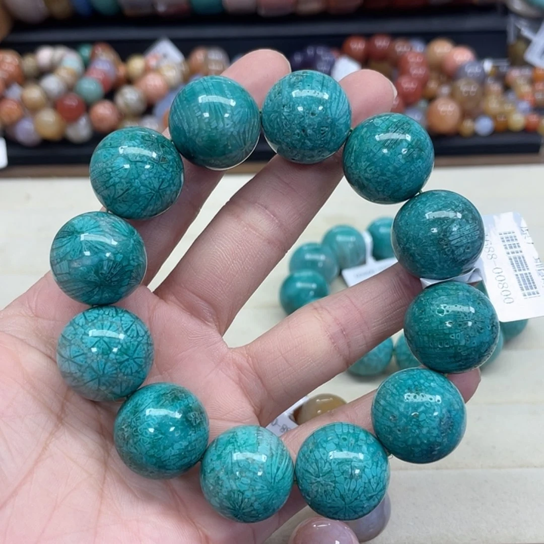 未镶嵌手串硅化珊瑚（珊瑚玉），*019