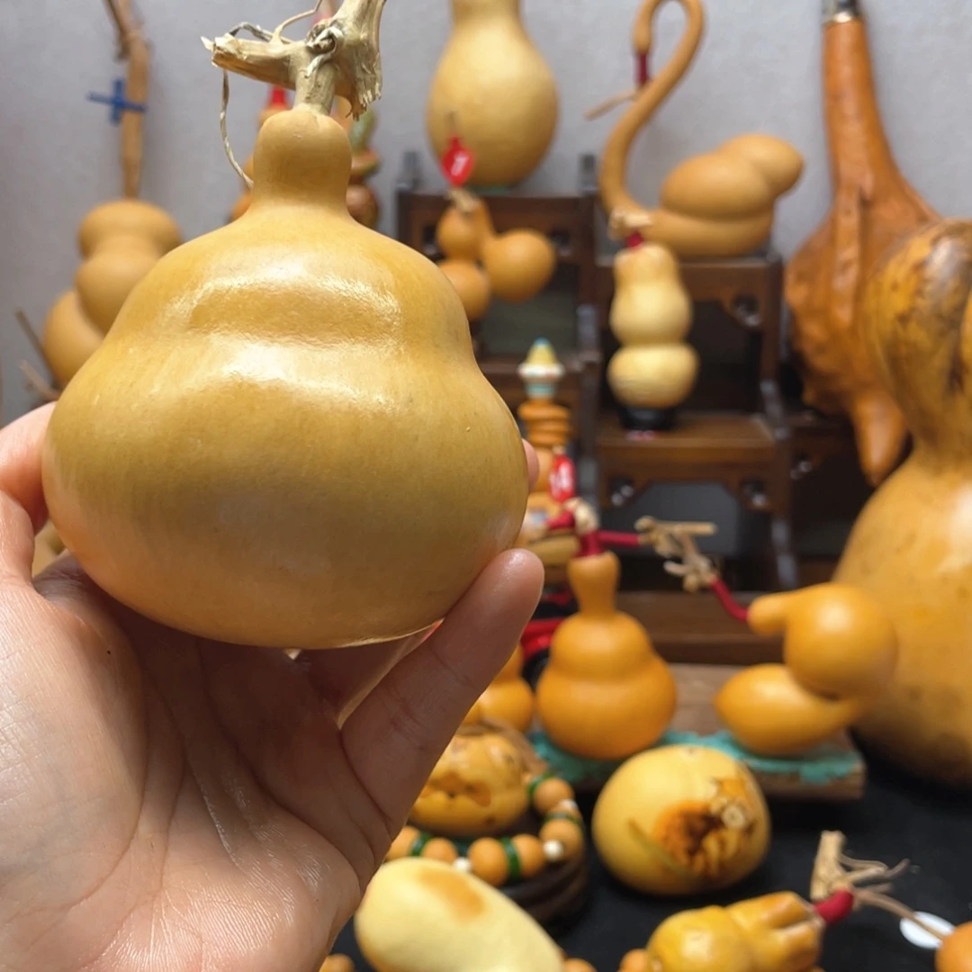 无**及大自然的秘密第十节第