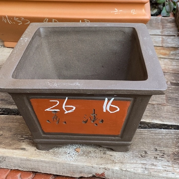 花盆紫砂只顾看手机