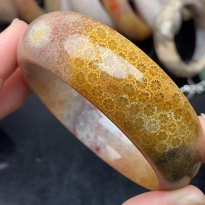 硅化玉未镶嵌颈饰59