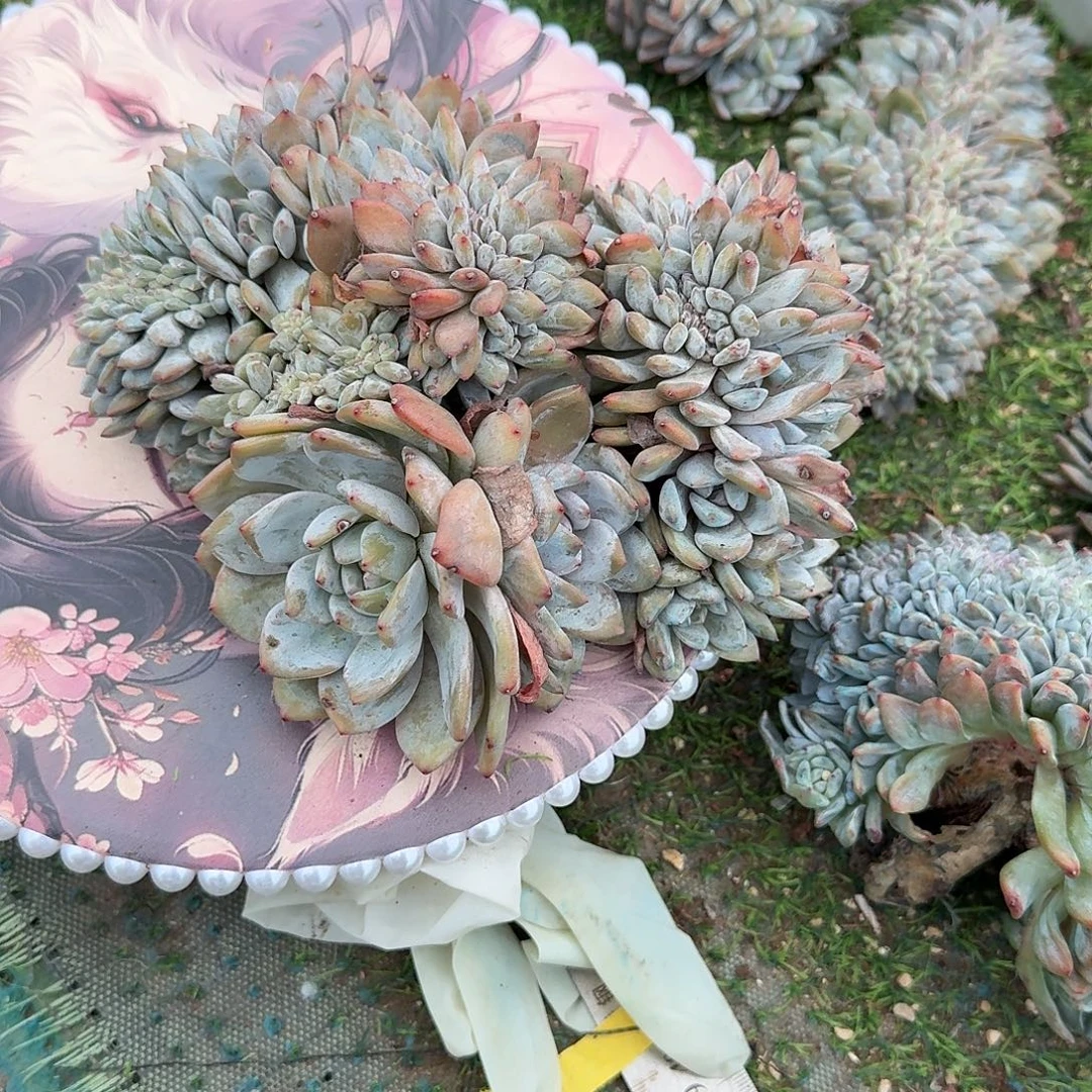 很多朵朵带缀呀呀他呀