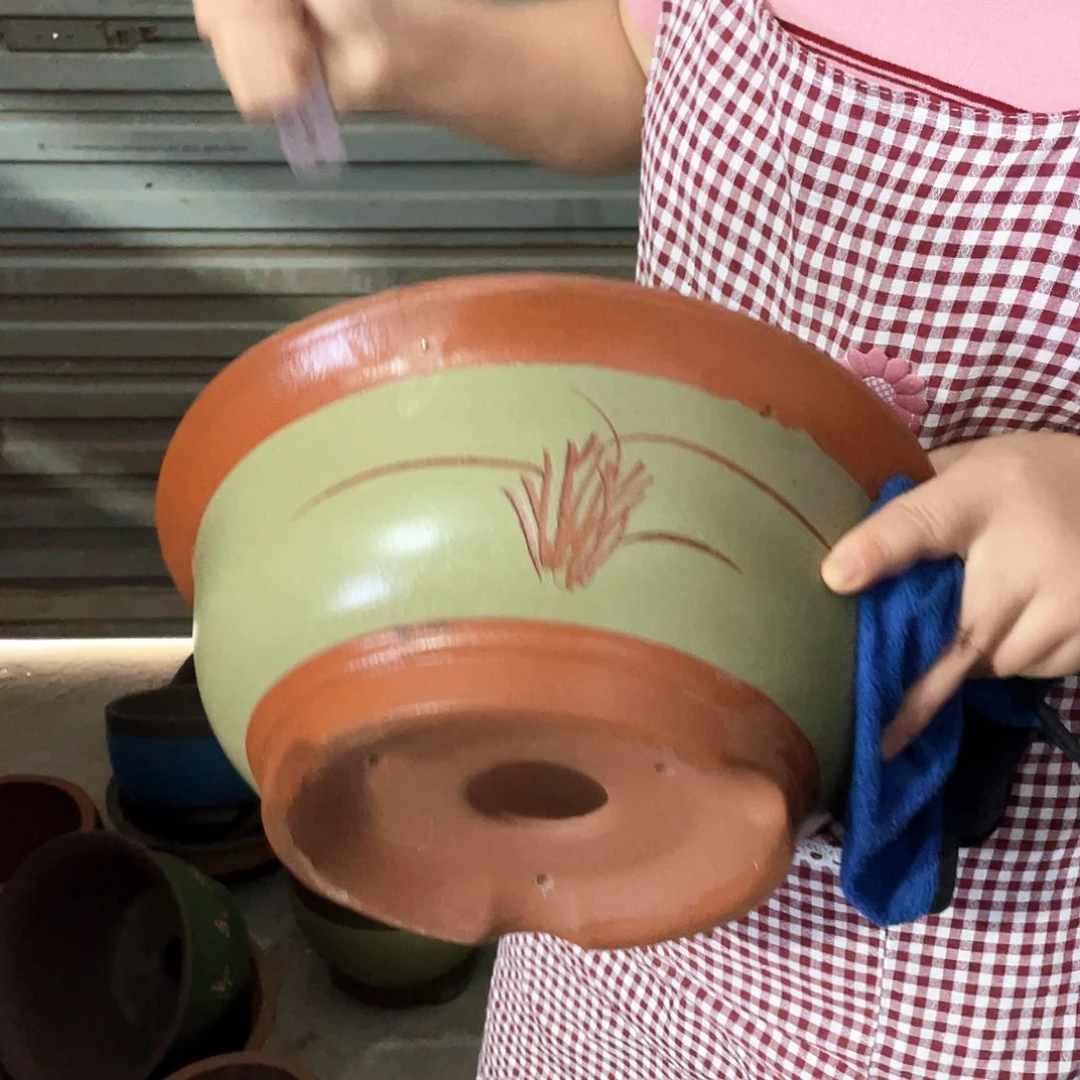 花盆里的小猫咪也太可爱33