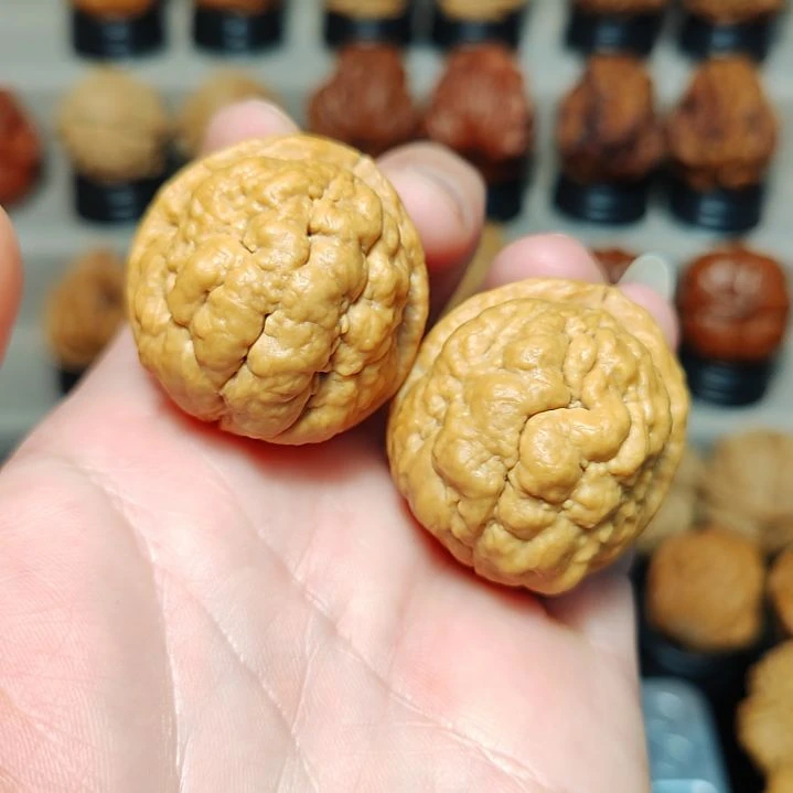 文玩核桃把件云铁山鬼35尺