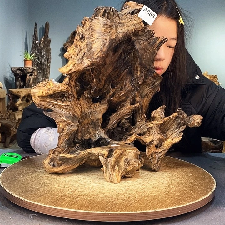 茶盏月***头658株木随行的根艺的