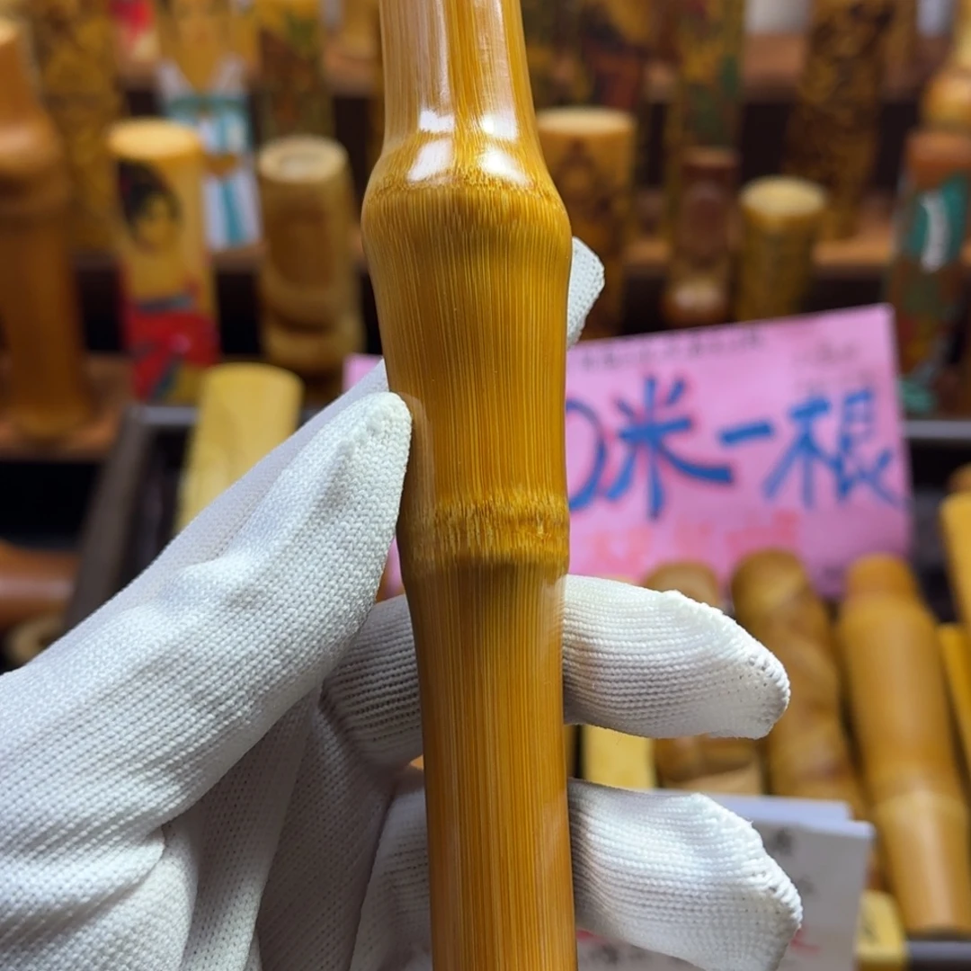竹类精品实心玉竹