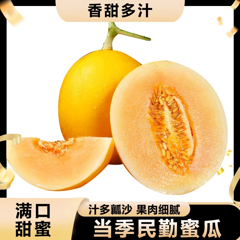 甘肃沙漠民勤蜜瓜软糯香甜水果阳光露天种植甜蜜多汁DW