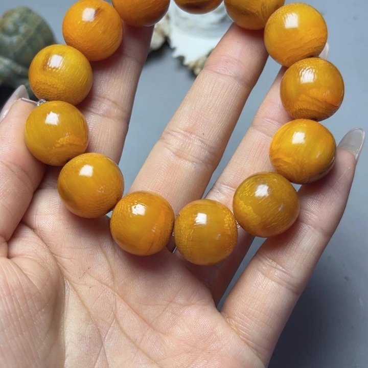 大果紫檀（缅甸花梨）