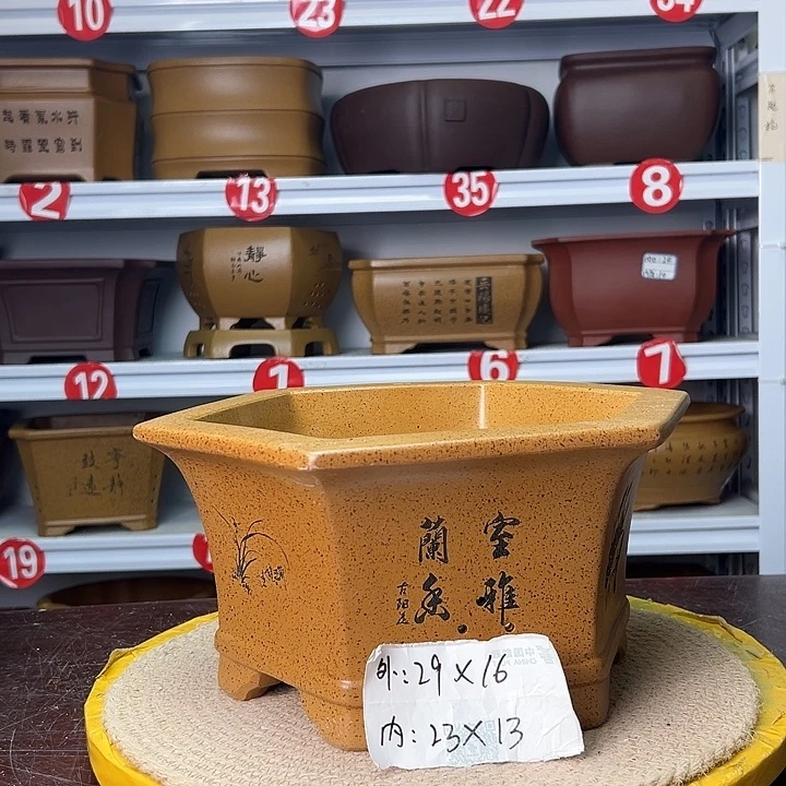 紫砂花盆蛇年大吉