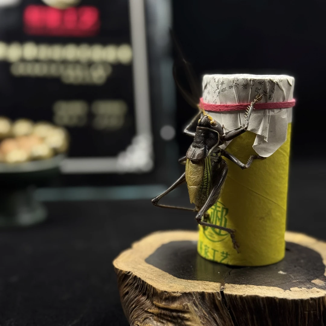 大剑严选 郝建伟授权经销商 蝈蝈 铁蝈蝈大包 新脱蝈蝈