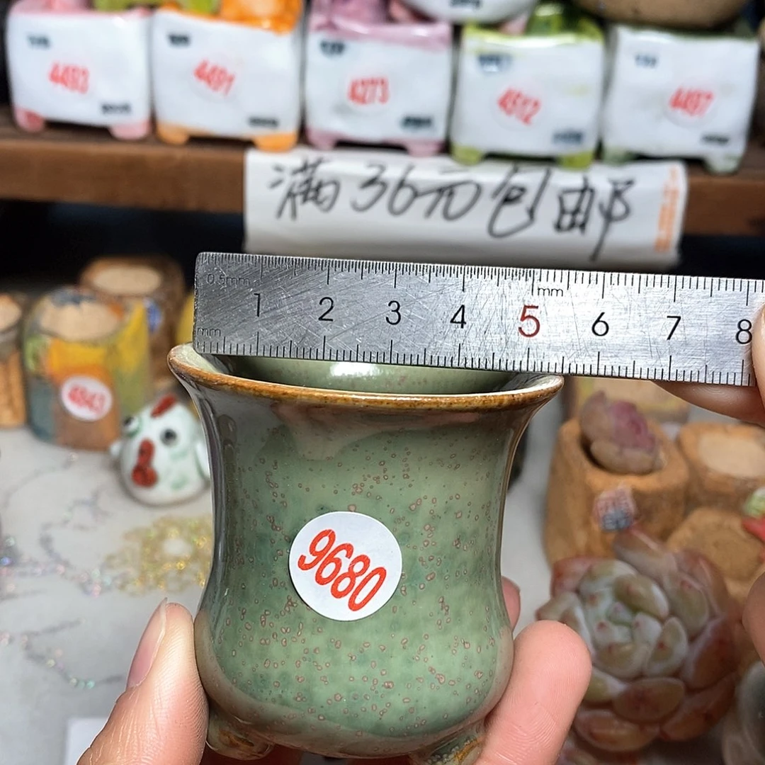 红陶拍5送一个小