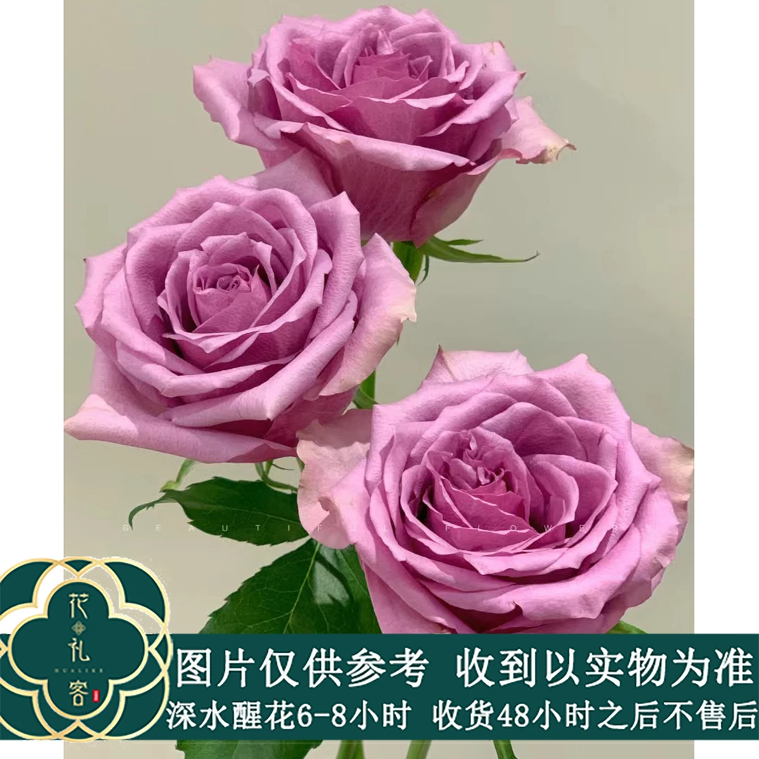 云花巷#多头玫瑰 【紫霞仙子】鲜花优选 顺丰直发