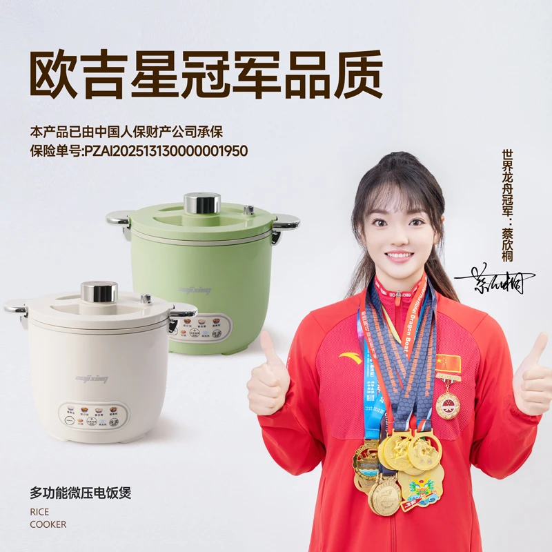 德国欧吉星oujixing智能微压电饭煲焖炖煮煲火锅煎炒 （2-4人）
