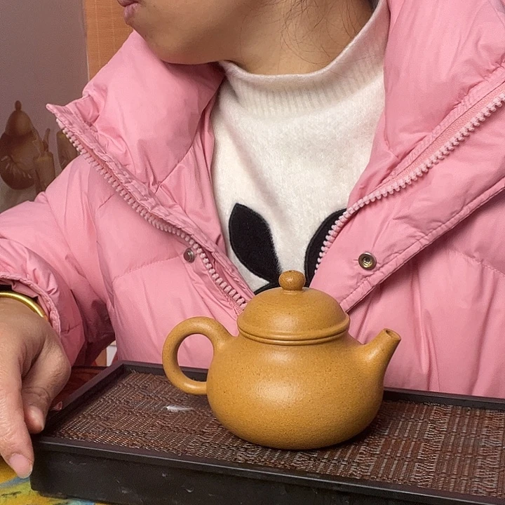 茶壶紫砂紫砂壶泡茶