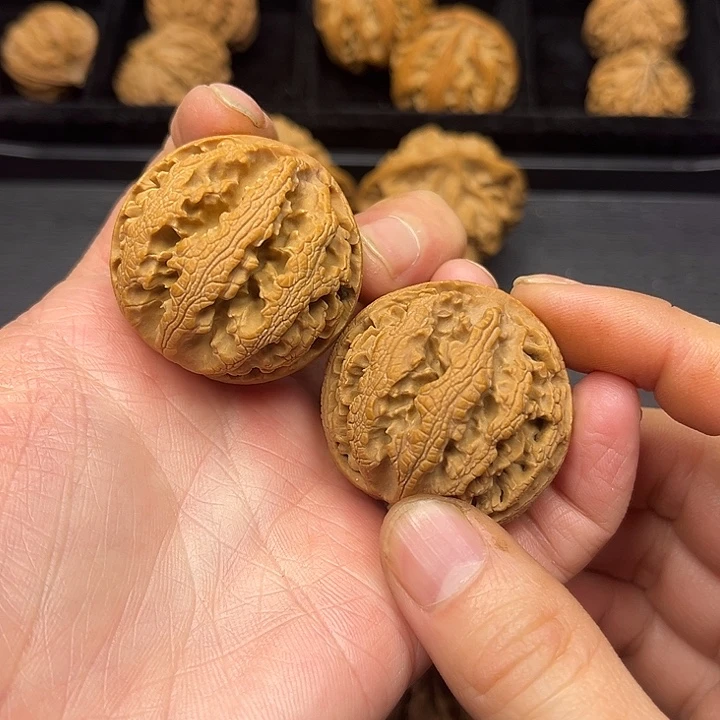 核桃突突突突突突突突