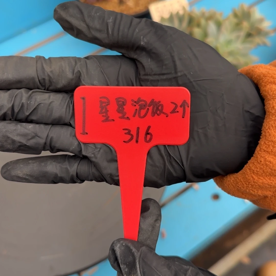 星***饭1号。     星星泡饭预定两颗奶茶缀。