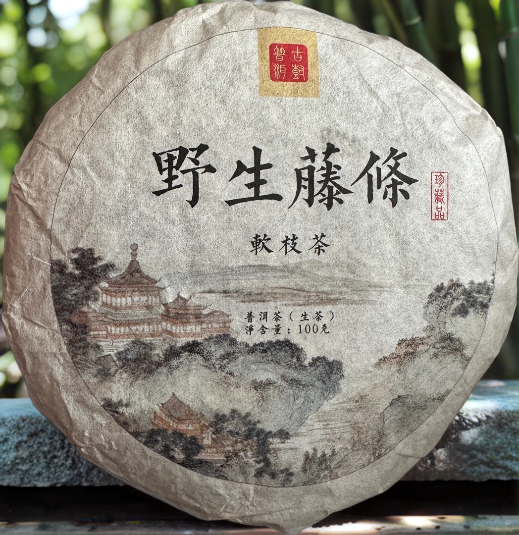 普洱生茶饼2023年野生藤条茶