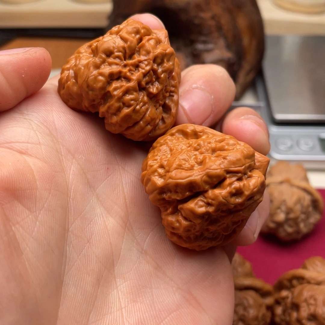 布*斯文玩蛤蟆头蛤蟆头A02