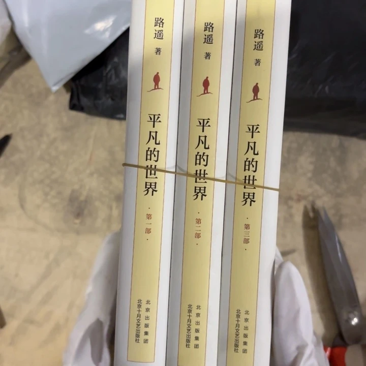 平凡的世界 闪购闪购精装 微瑕30