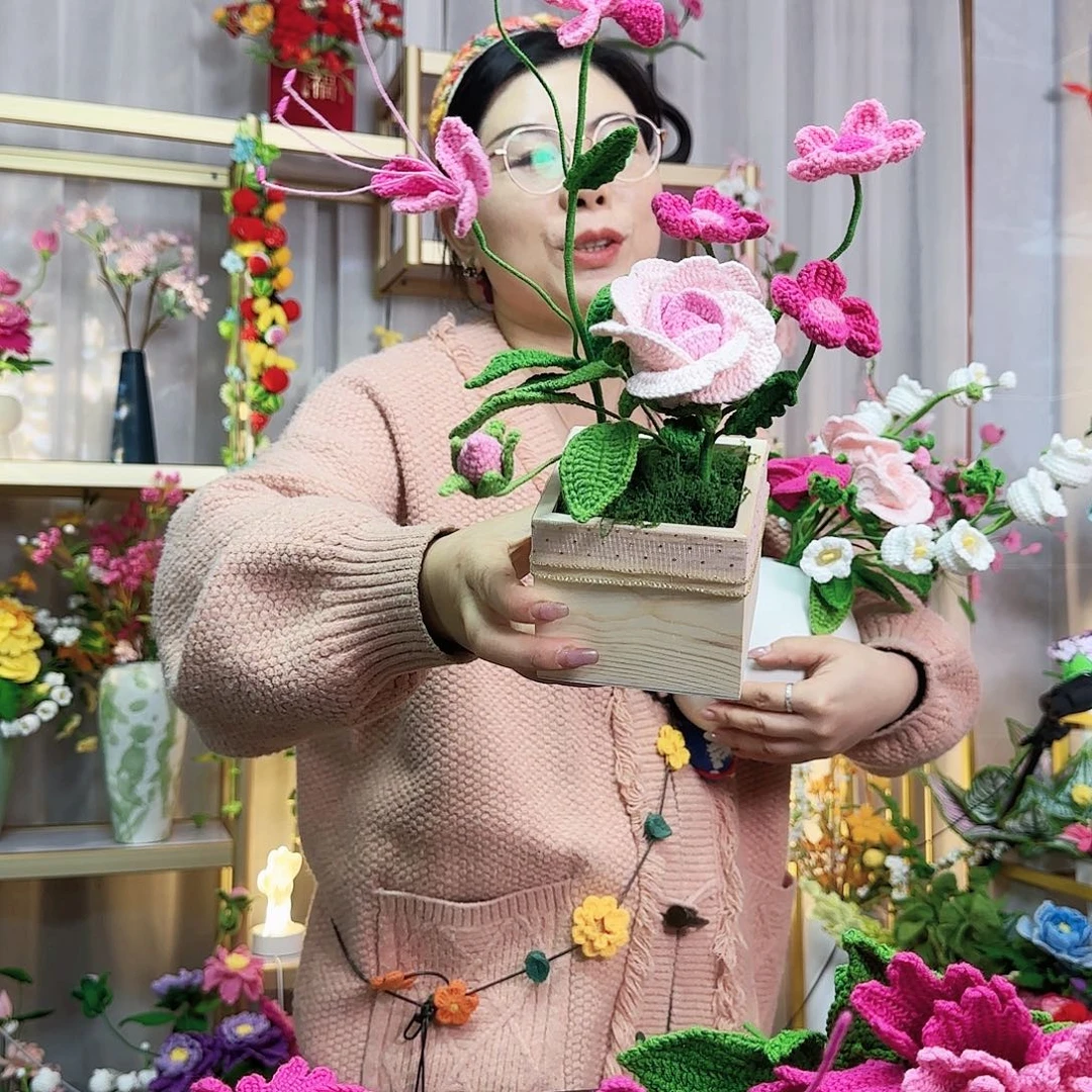 纯手工钩织手工钩织设计盆栽