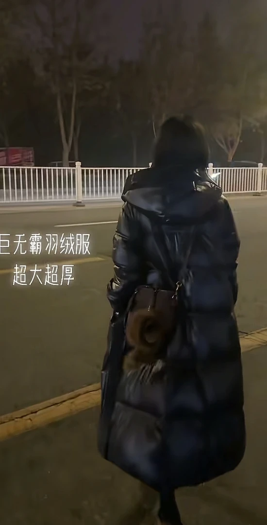 小狮子挂件 D 咖色 11-29