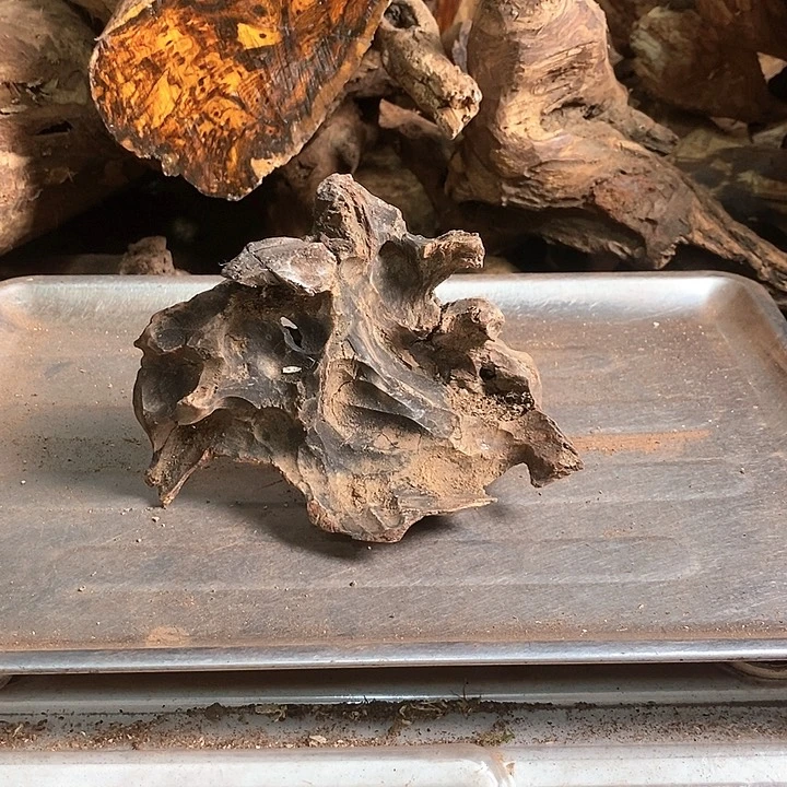 花梨木类用****9海花梨