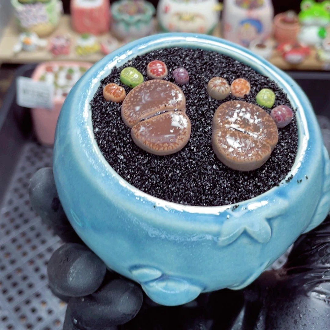 夜间零下地区拍保温箱w3517