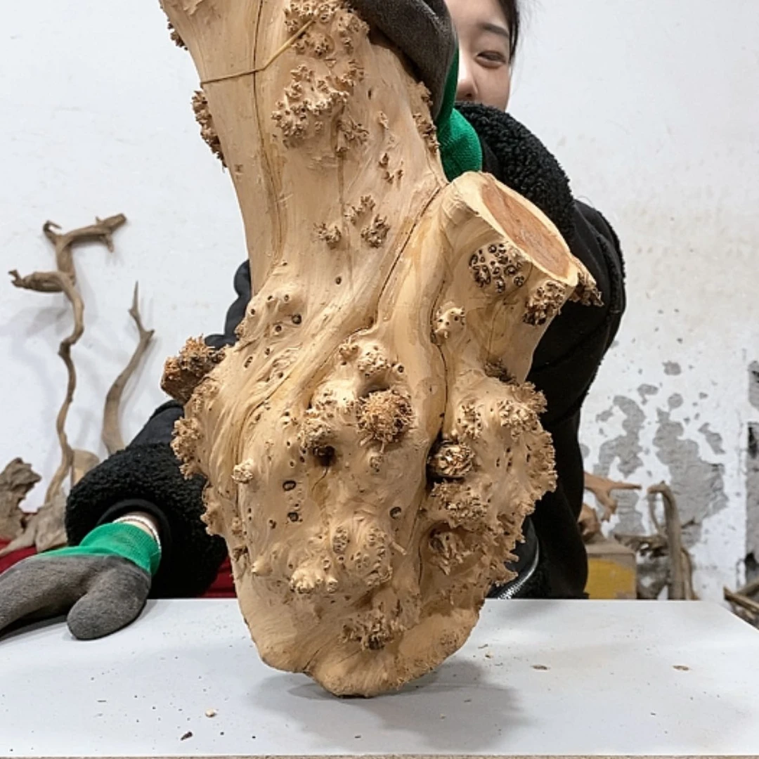 【闪购商品】柏木上****啦我们都是好孩子