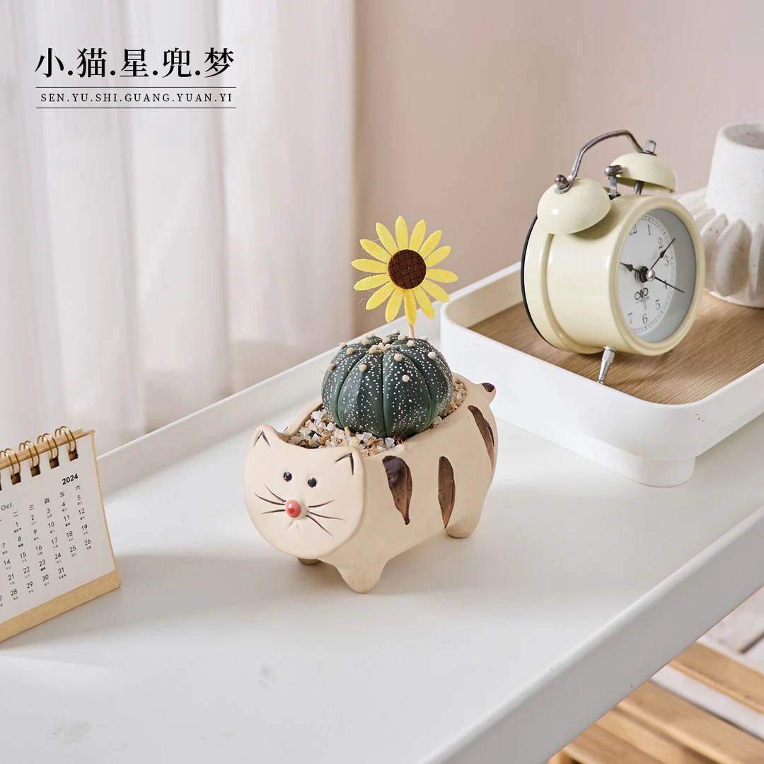 【可爱喵】星兜盆栽办公室内桌面绿植摆件多肉耐旱好养植物礼物