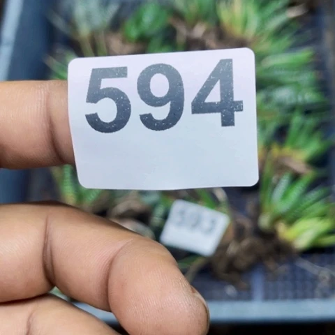 焦***儿594紫天平一物一图如图