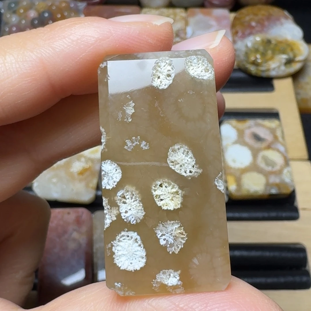 硅化玉糖底骨骼花未镶嵌