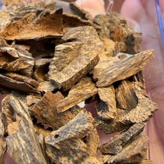 沉香摆件老海南野鸡母虫5克